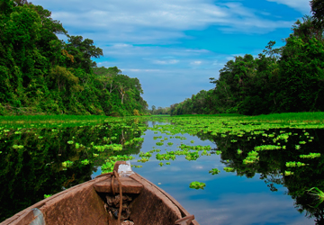 Ayahuasca Trips in Peru